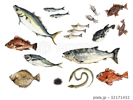 魚介セット 魚介セット 32171432
