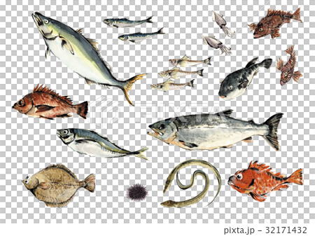 Seafood set Seafood set 32171432