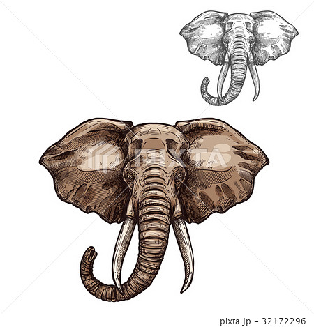 Elephant isolated sketch of african mammal animal Elephant isolated sketch of african mammal animal 32172296