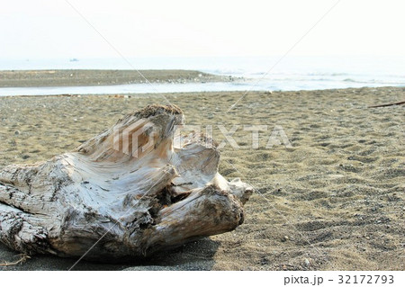 流木　駿河湾 32172793