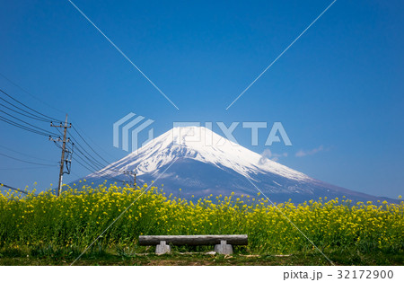 富士山と菜の花畑のベンチ 32172900