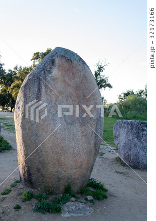 Menhirs in a cromlech close to Evora in Portugal 32173166