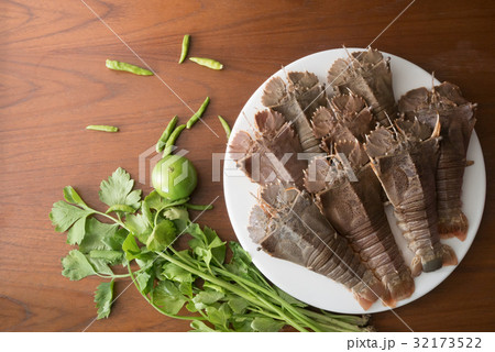 Squilla mantis Squilla mantis 32173522