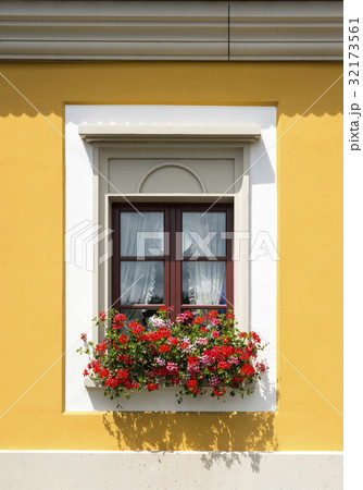 Window with red flowers close-up Window with red flowers close-up 32173561