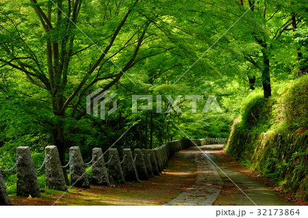 新緑の高城山（奈良県吉野郡吉野町） 32173864