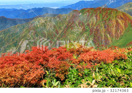 谷川連峰・茂倉岳から見る紅葉の武能岳 32174363