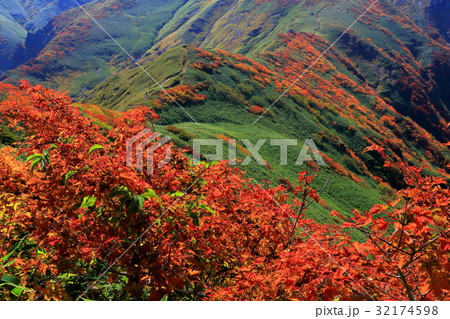 上越国境・茂倉岳の紅葉の斜面 32174598