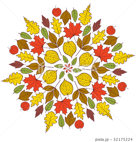 Pattern with autumn leaves 32175224
