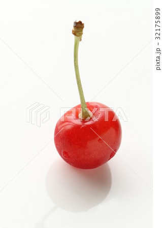 さくらんぼ さくらんぼ 32175899