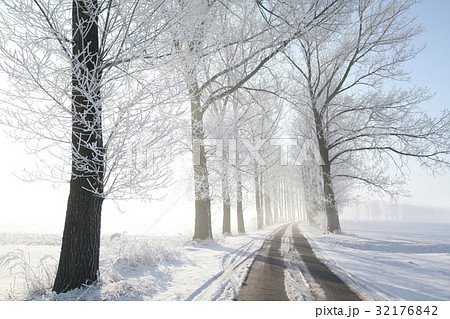 Winter path illuminated by the morning sun Winter path illuminated by the morning sun 32176842