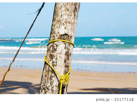 a rope from an hammock near the ocean shore 32177118