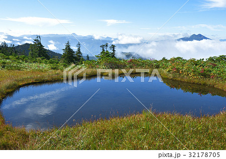 会津駒ケ岳の池塘と遠く燧ケ岳 32178705