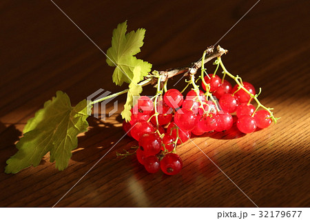 フサスグリの実 32179677