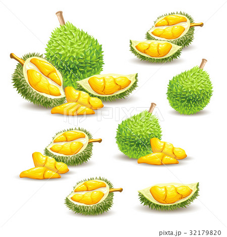 Set of vector illustrations, icons of a durian 32179820