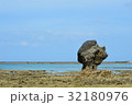 海とサンゴ 32180976