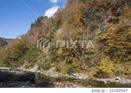 錦秋の奥裾花渓谷 32182047