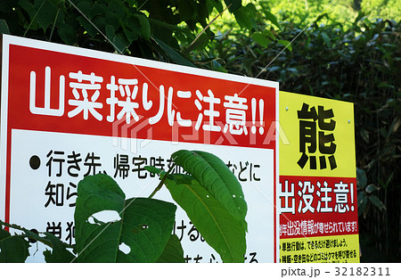 熊出没注意 看板 熊出没注意 看板 32182311