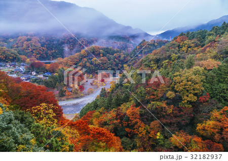 紅葉　道志みち 32182937