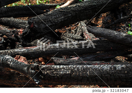 A piece of wood burned like an abstract background A piece of wood burned like an abstract background 32183047