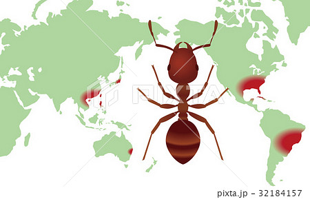 ヒアリの分布 32184157
