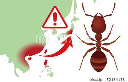 ヒアリの日本侵入 32184158