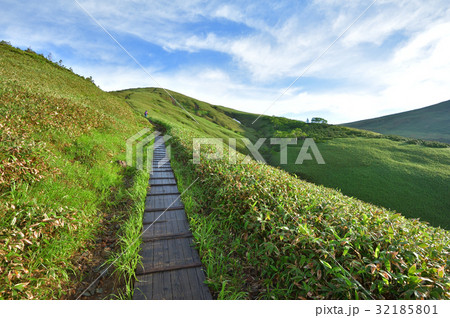 平標山山頂へ続く木道 32185801