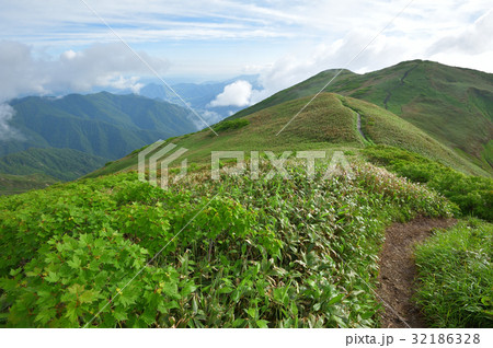 平標山から仙ノ倉山へ向かう尾根と登山道 32186328