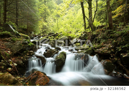 Forest stream in valley flowing from the mountains 32186562