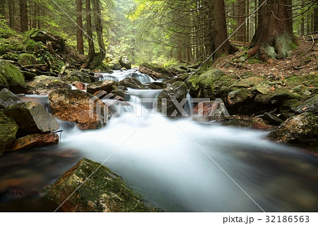 Forest stream in valley flowing from the mountains 32186563