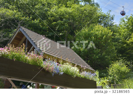 布引ハーブ園 32186565