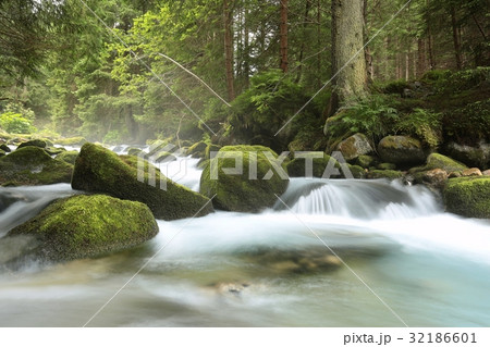 Forest stream, Tatra National Park in Poland Forest stream, Tatra National Park in Poland 32186601