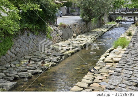 壇具川　長府 32186795