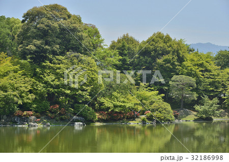 仙洞御所　仙洞御所庭園　北池　 32186998
