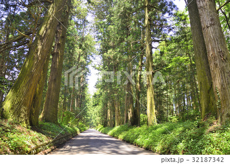 日光の杉並木 32187342
