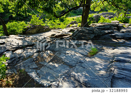 長瀞岩畳 緑あふれる初夏　岩畳の木陰 a 岩肌広め 32188993