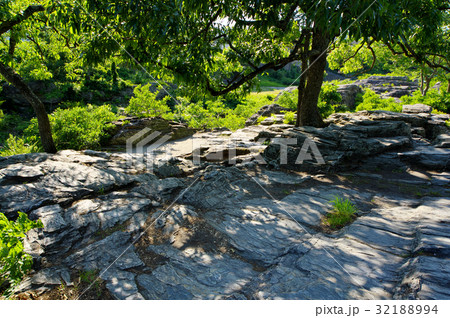 長瀞岩畳 緑あふれる初夏　岩畳の木陰 b 緑広め 32188994