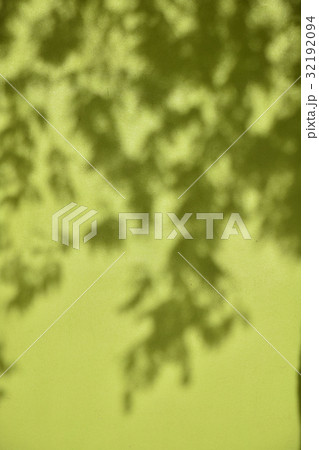 Green wall with shadow of leaves 32192094
