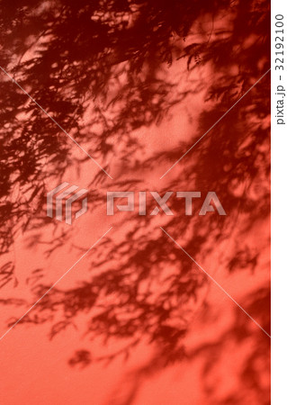 Beautiful shadow of leave on red wall Beautiful shadow of leave on red wall 32192100