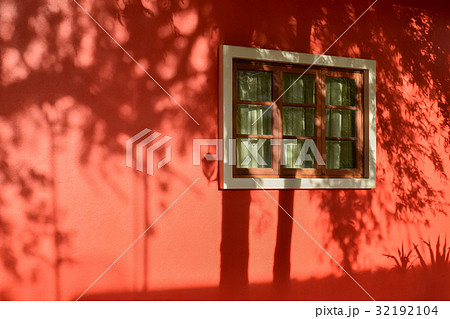 Shadow of tree on redwall with window Shadow of tree on redwall with window 32192104