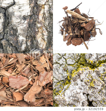 Bark Texture Set Bark Texture Set 32192559