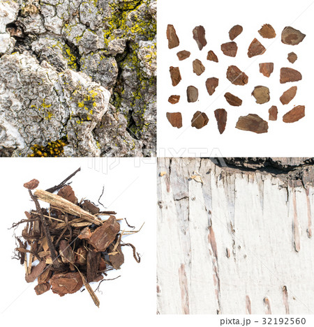 Bark Texture Set Bark Texture Set 32192560