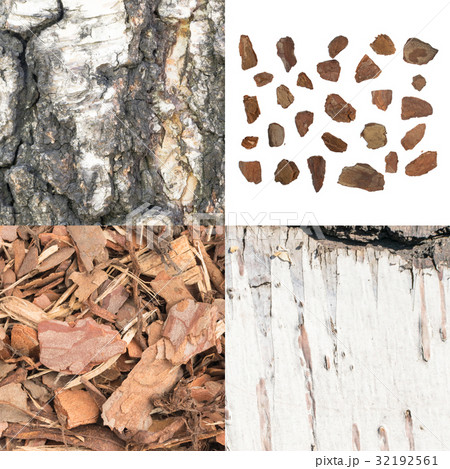 Bark Texture Set Bark Texture Set 32192561