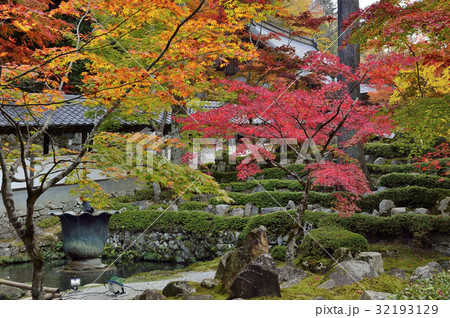 永源寺　紅葉　滋賀 32193129