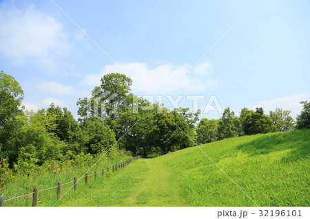 夏の公園 夏の公園 32196101