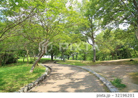 夏の公園 32196201