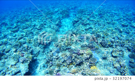 沖縄　阿嘉島の珊瑚礁　水中写真 32197074