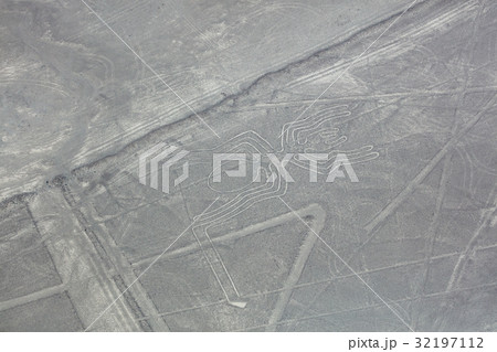 ナスカ地上絵　クモ 32197112