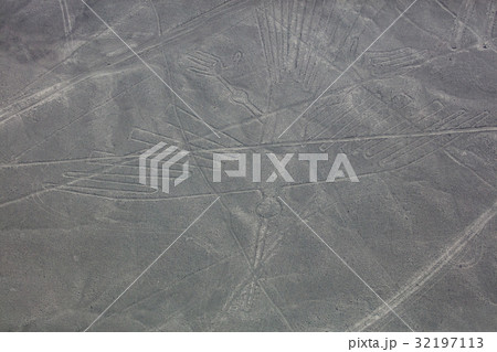 ナスカ地上絵　コンドル 32197113