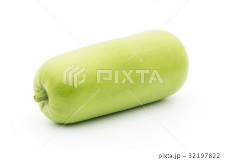 ウポ・スクワッシュ:opo squash ウポ・スクワッシュ:opo squash 32197822