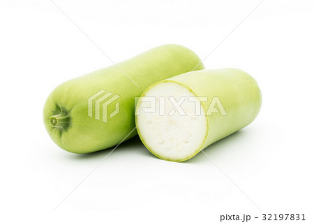 ウポ・スクワッシュ:opo squash ウポ・スクワッシュ:opo squash 32197831